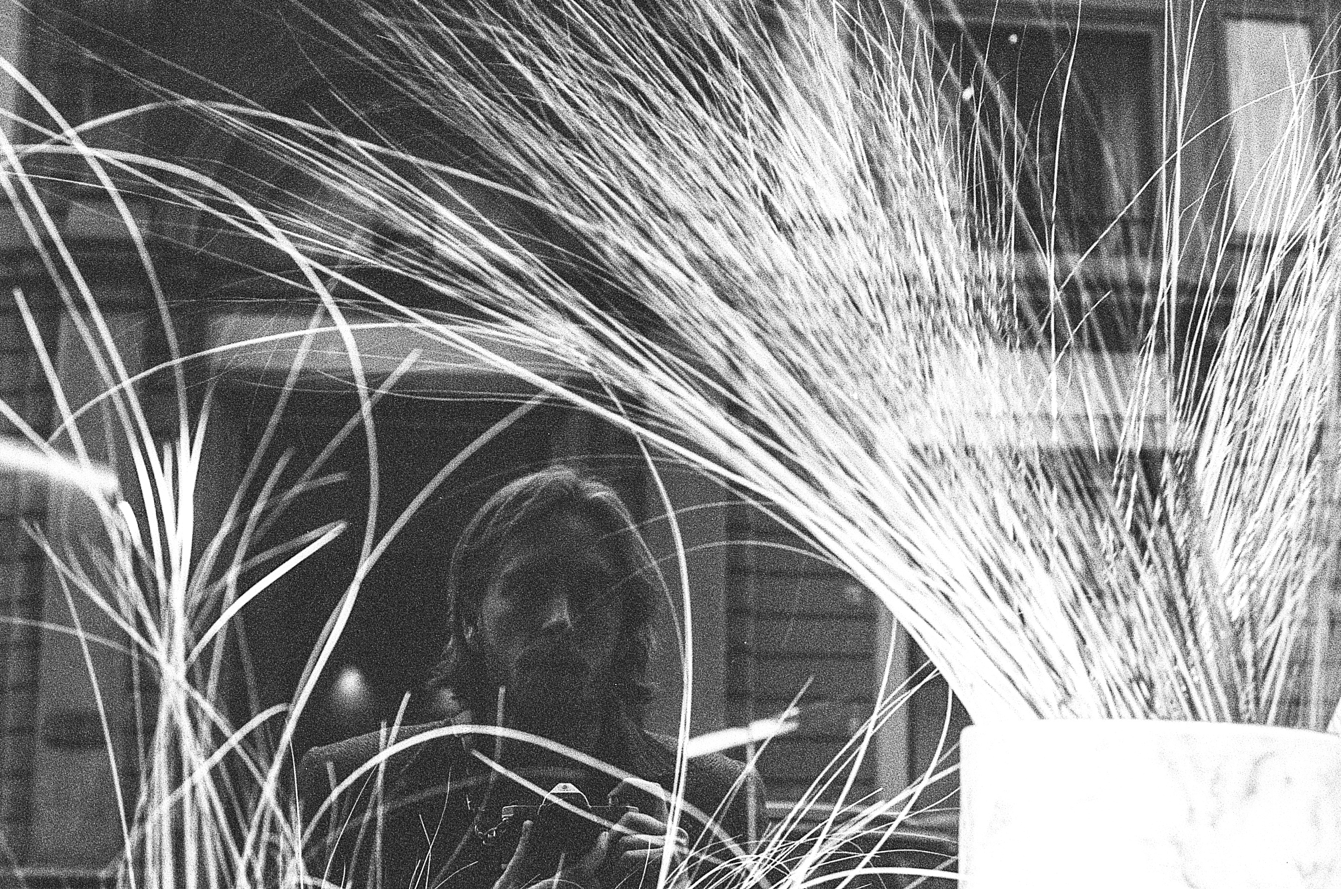 Self portrait 2