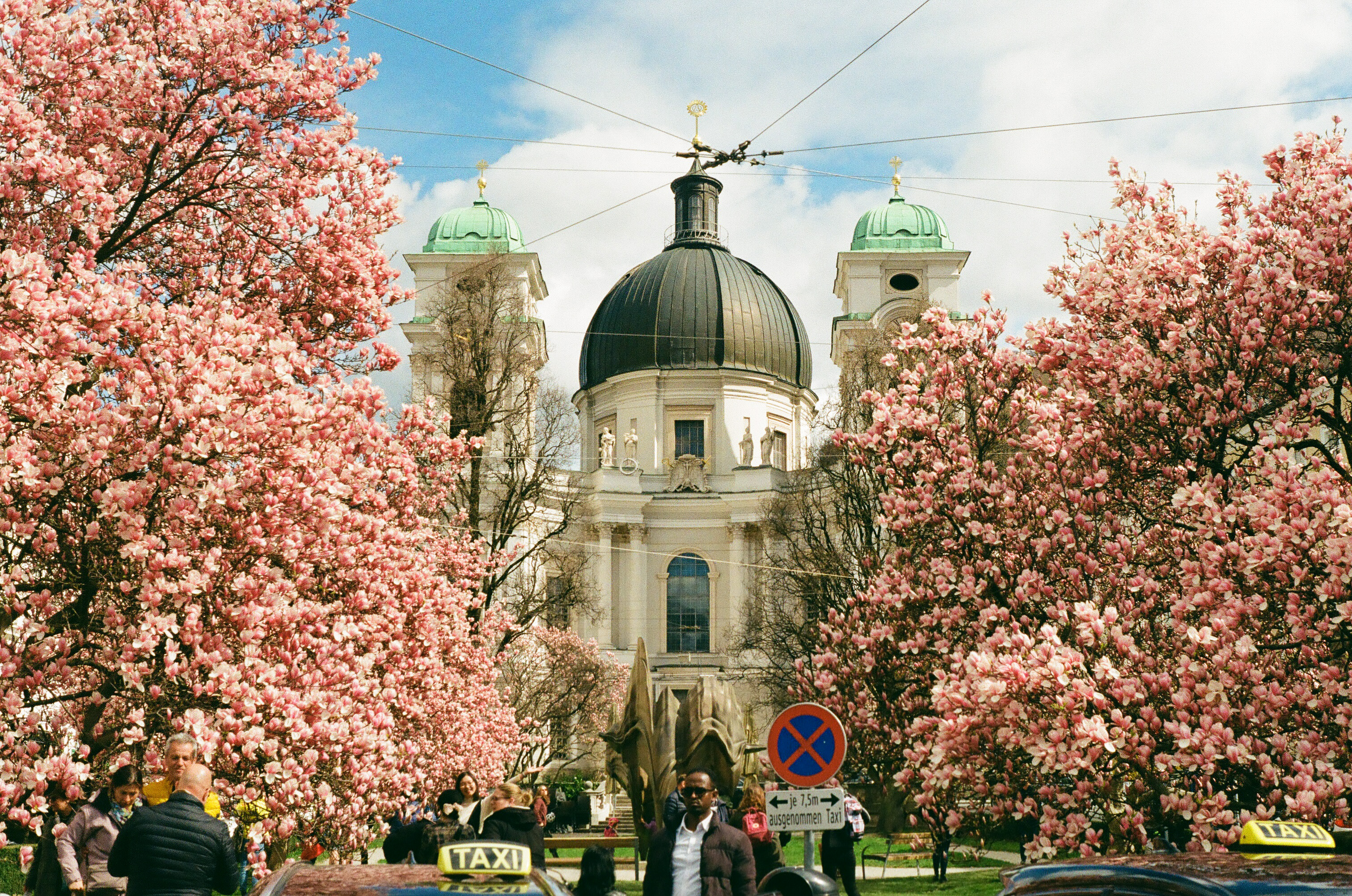 Color photo 31