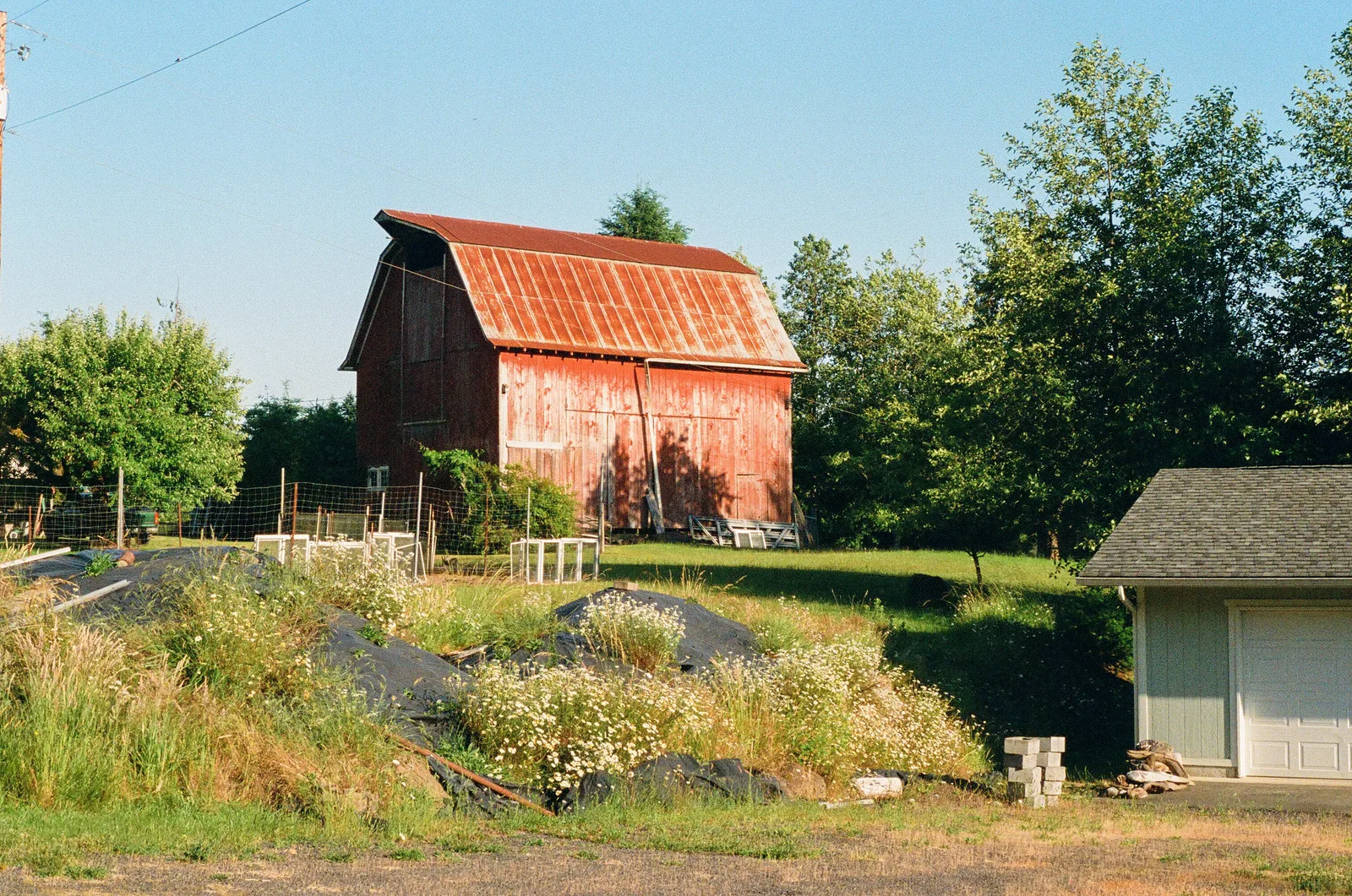 Clatskanie, Oregon - Summer 2023