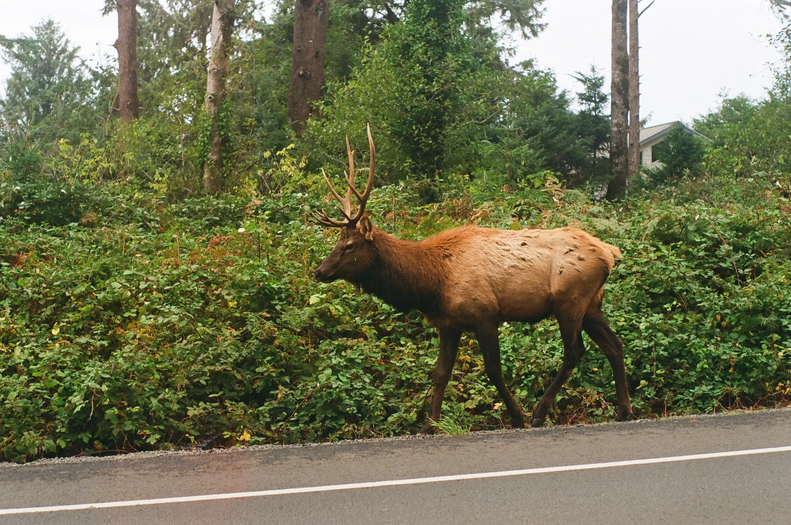 Seaside, Oregon - Autumn 2023