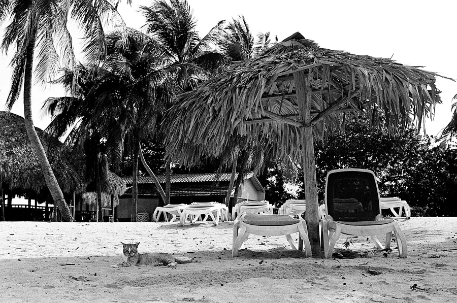Cuba - Summer 2026
