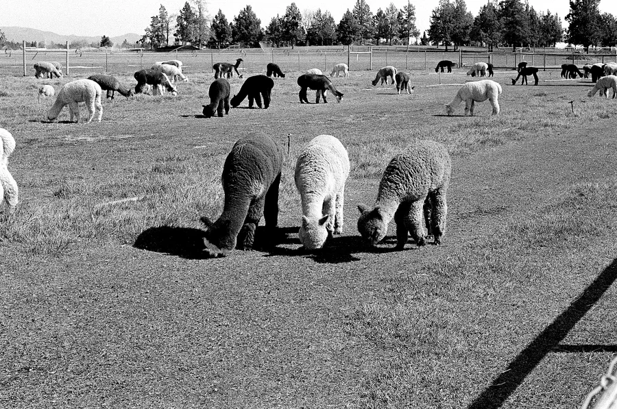 Bend, Oregon - Spring 2026