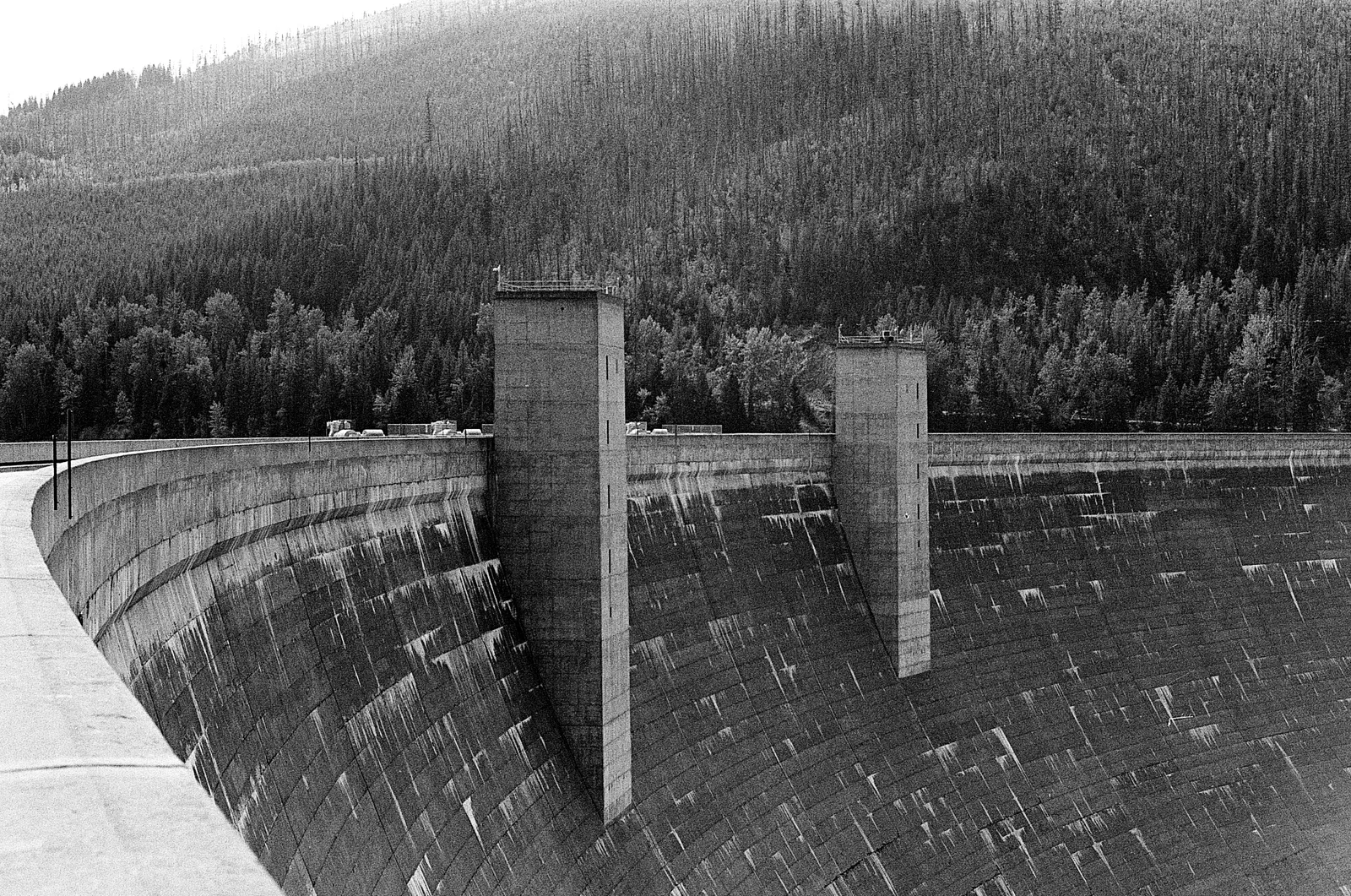 Northwest Montana - Summer 2025