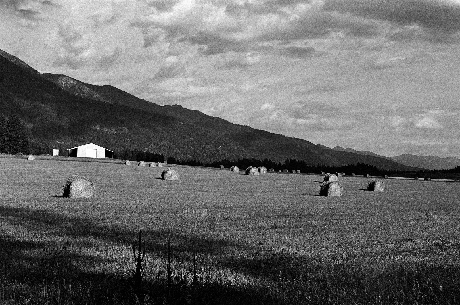 Northwest Montana - Summer 2025