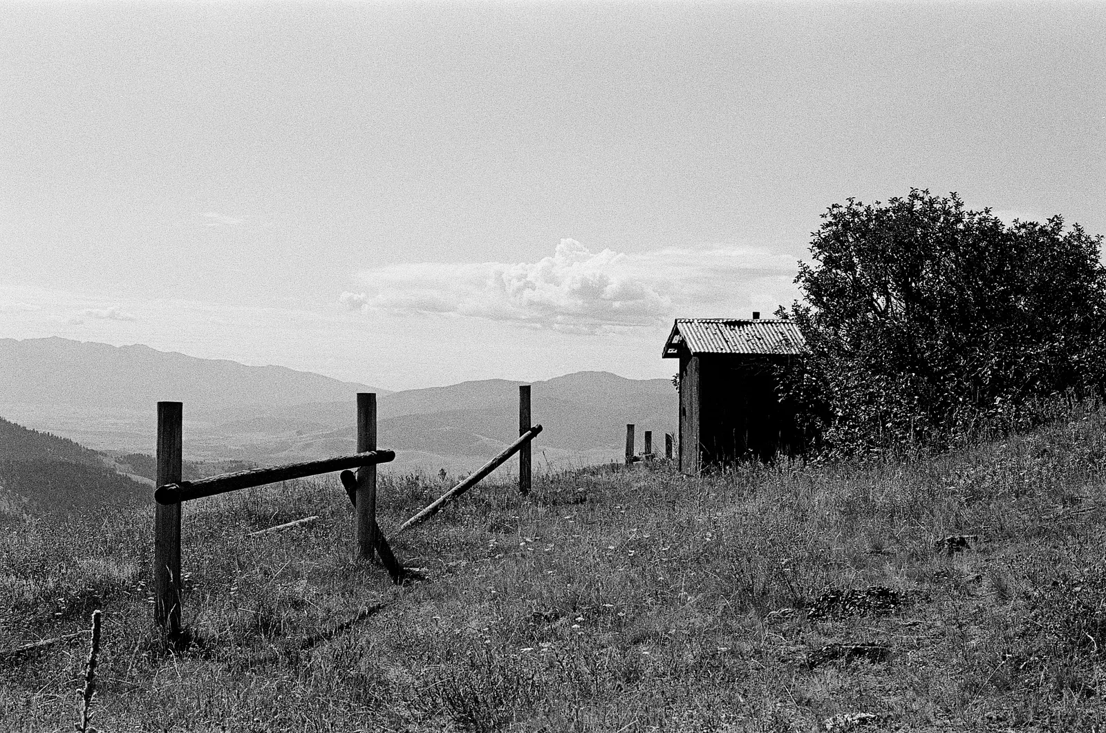 Northwest Montana - Summer 2025