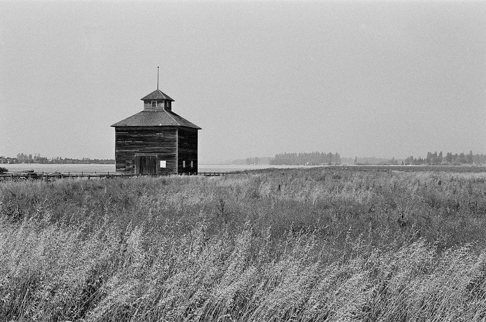 Northwest Montana - Summer 2025