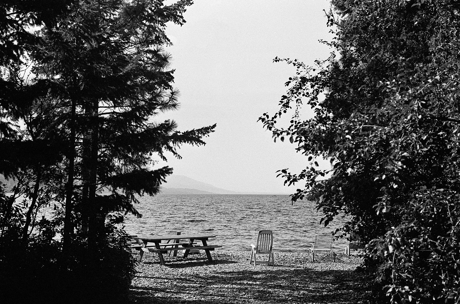 Northwest Montana - Summer 2025