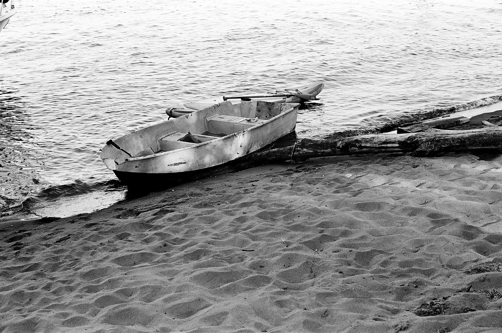 Portland, Oregon - Summer 2025