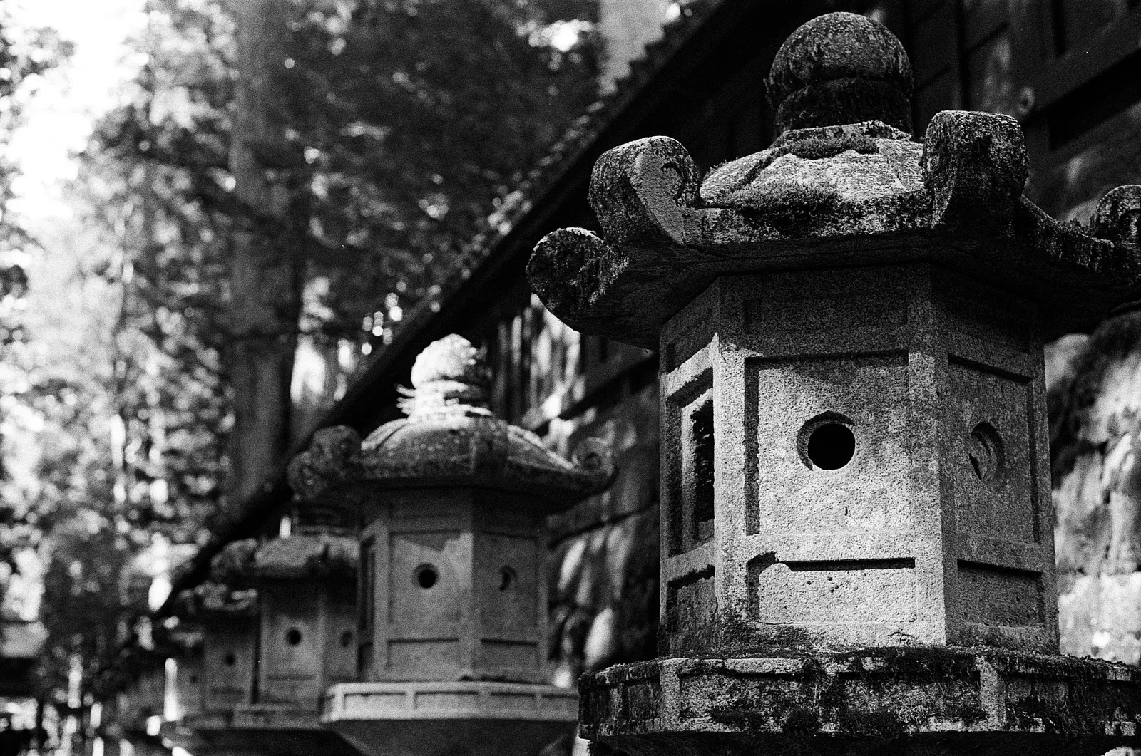 Nikko, Japan - Autumn 2025