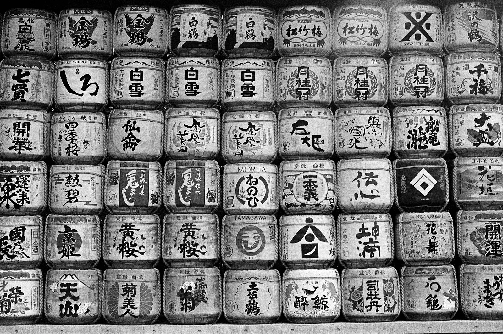 Tokyo, Japan - Autumn 2025