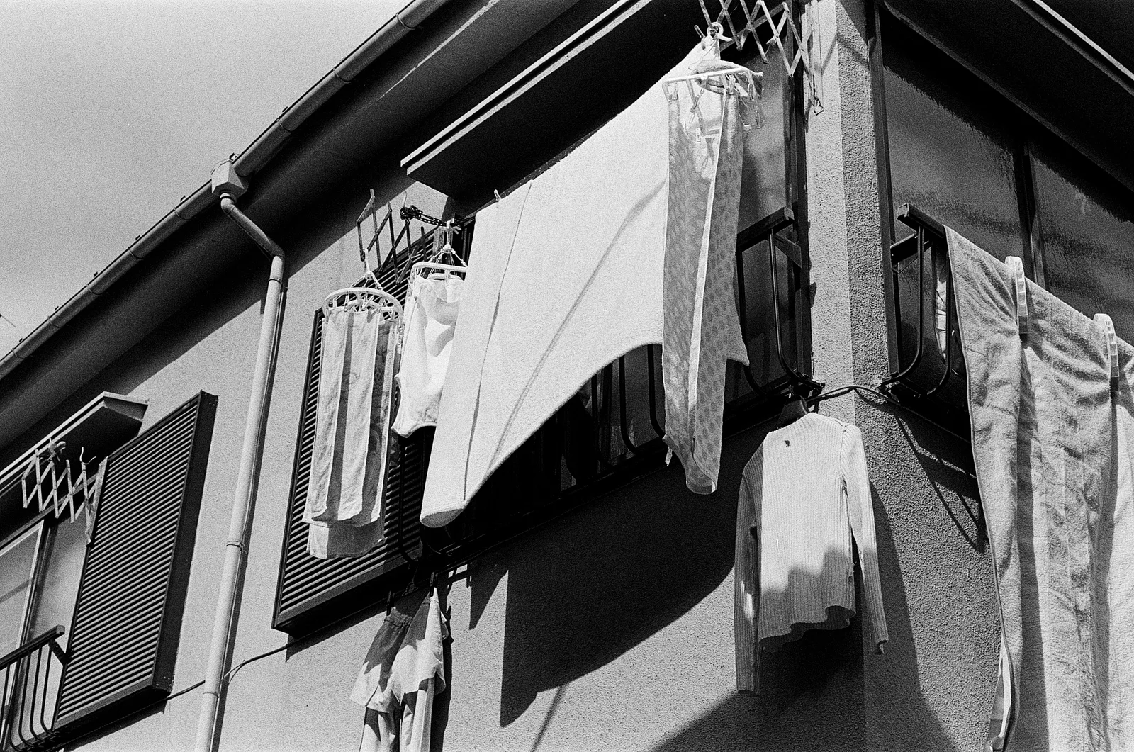 Tokyo, Japan - Autumn 2025