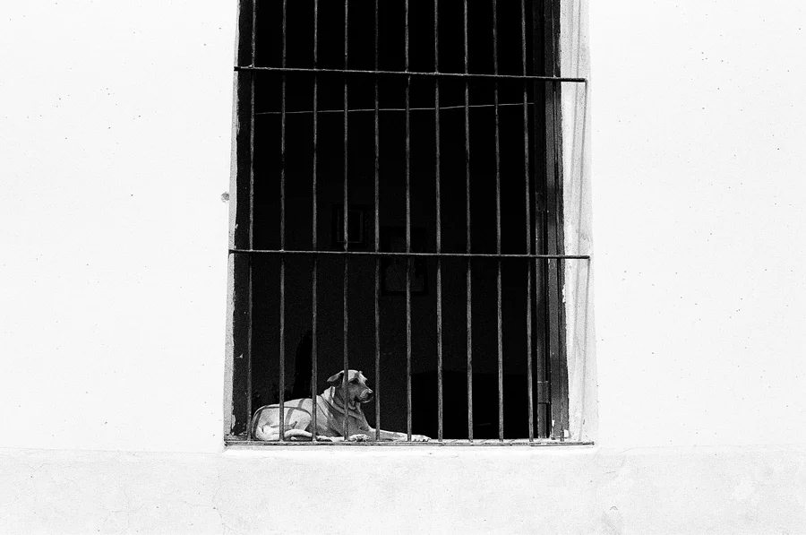Cuba - Summer 2026