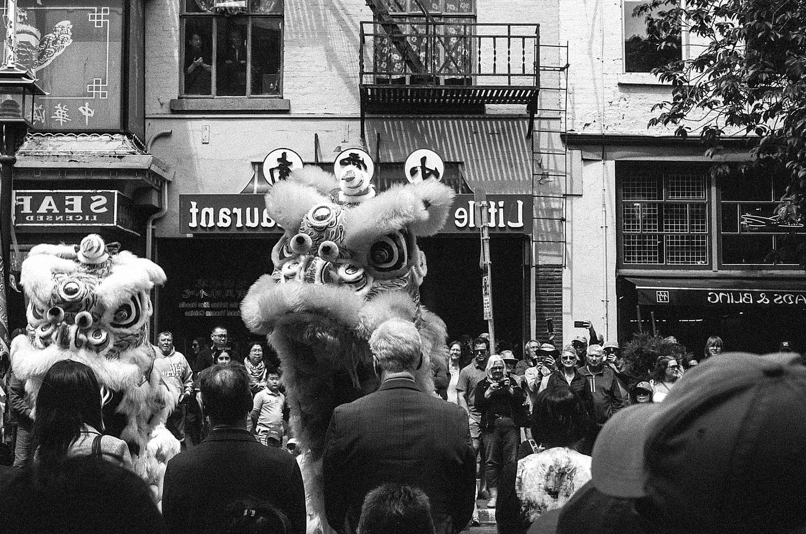 Victoria, BC - Summer 2025