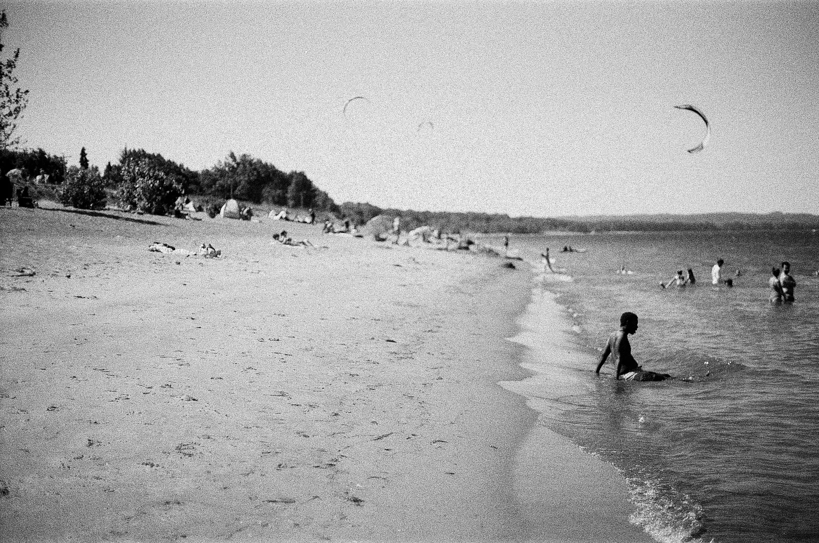 Sauvie Island, Oregon - Summer 2025