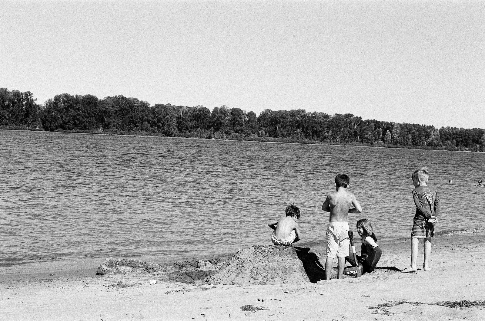 Sauvie Island, Oregon - Summer 2025