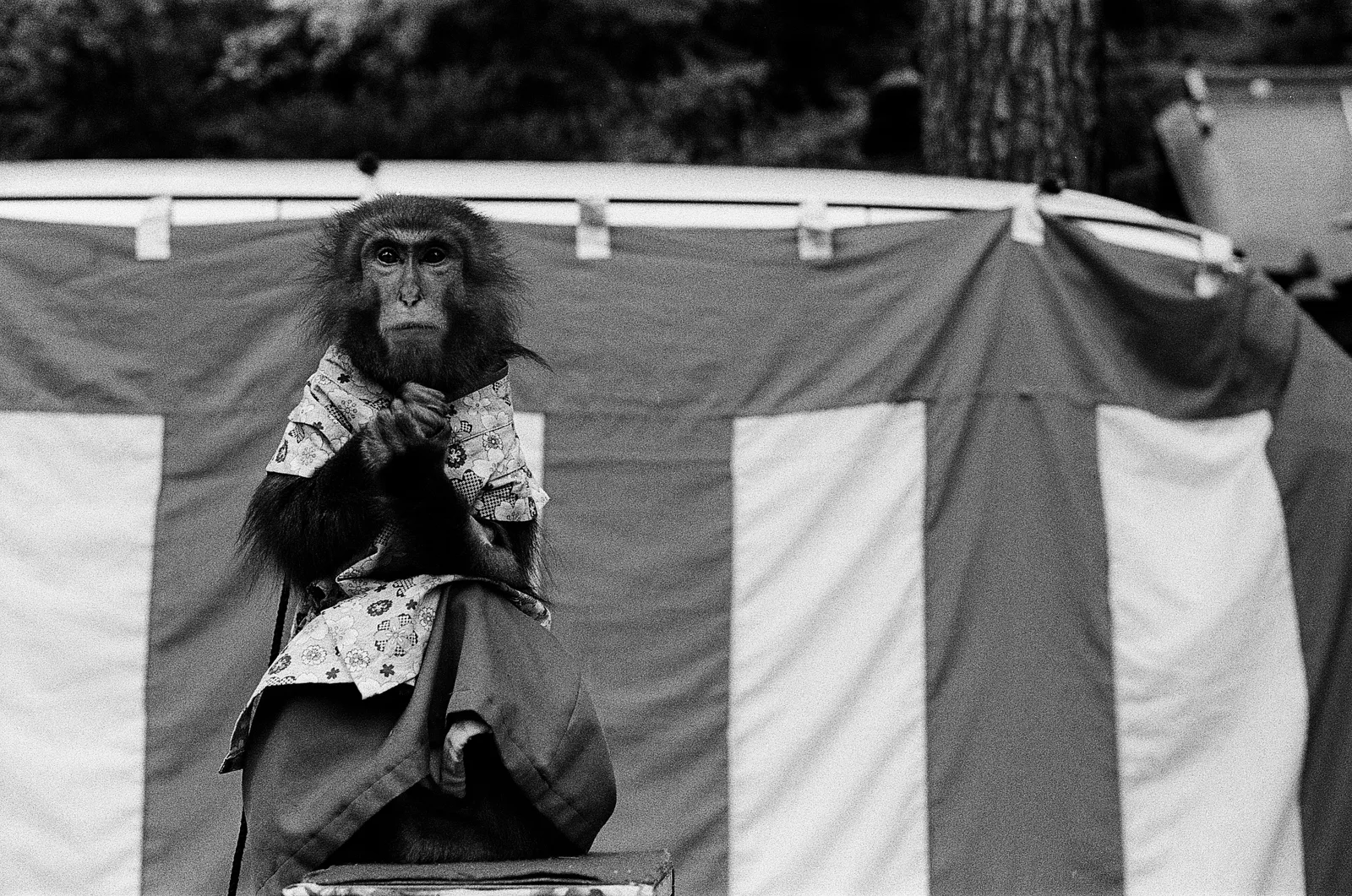 Kinosaki, Japan - Autumn 2025