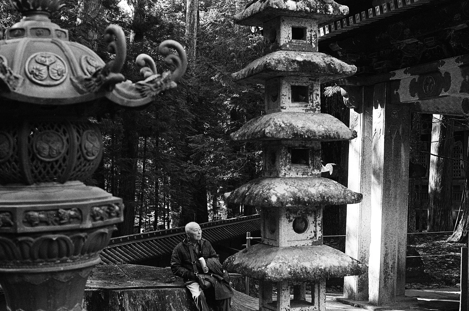 Nikko, Japan - Autumn 2025