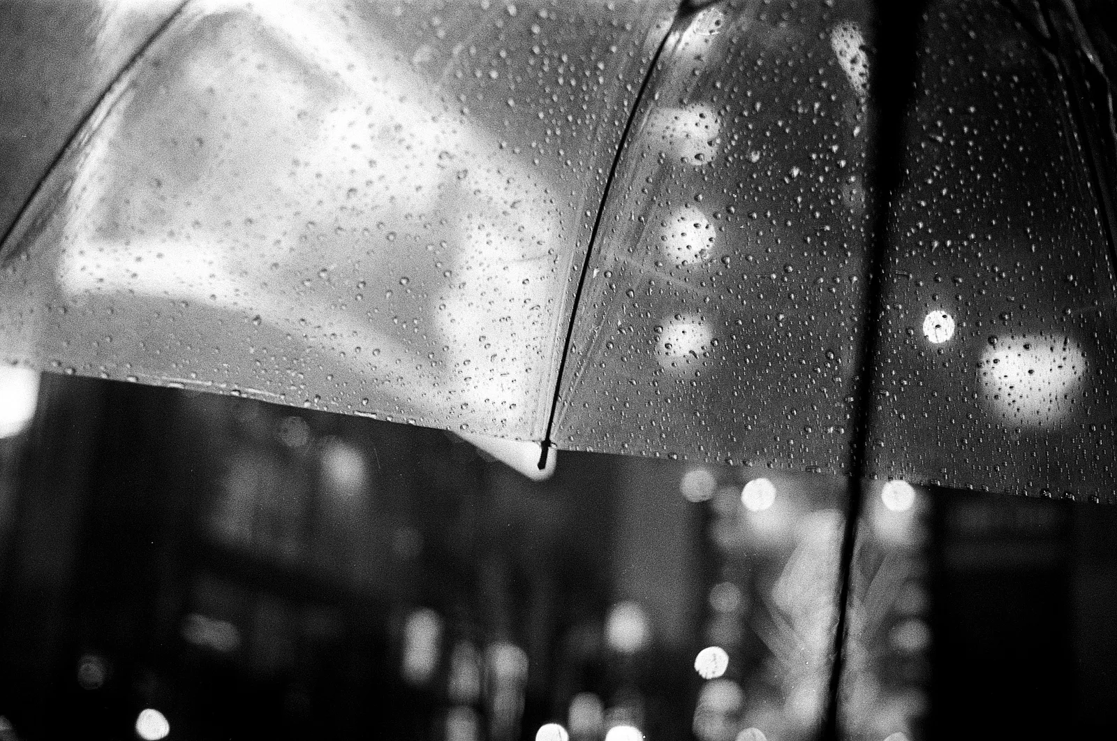 Tokyo, Japan - Autumn 2025