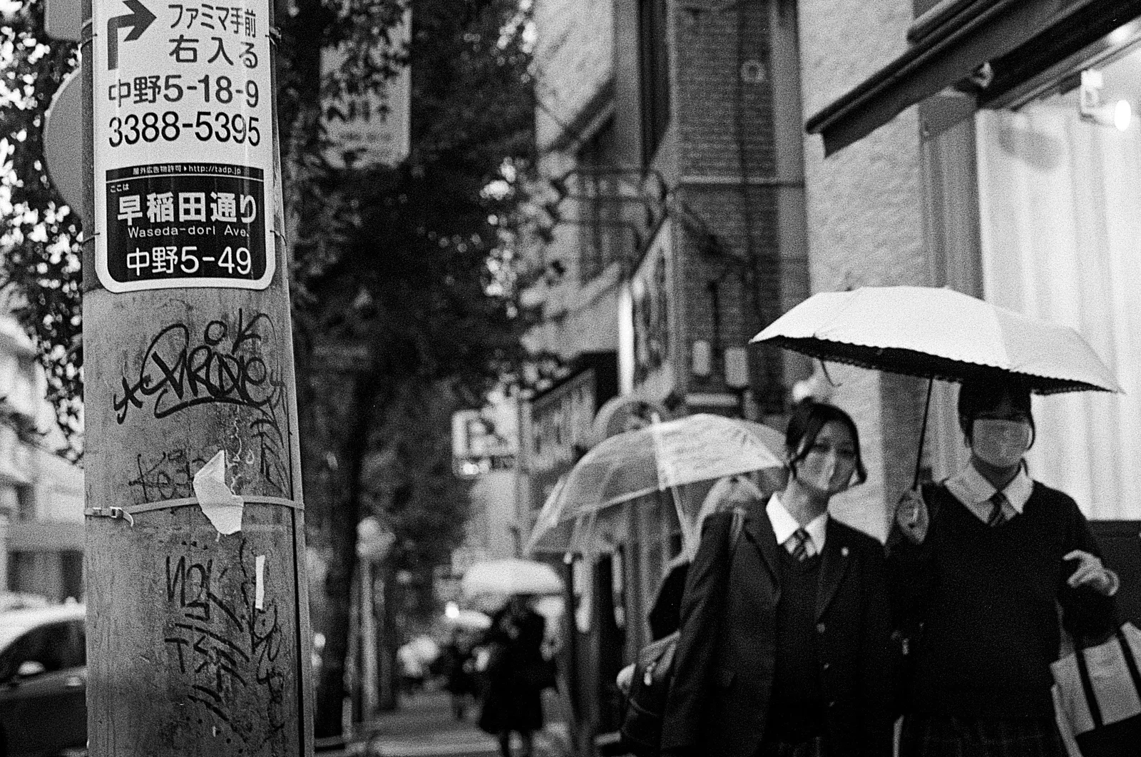 Tokyo, Japan - Autumn 2025