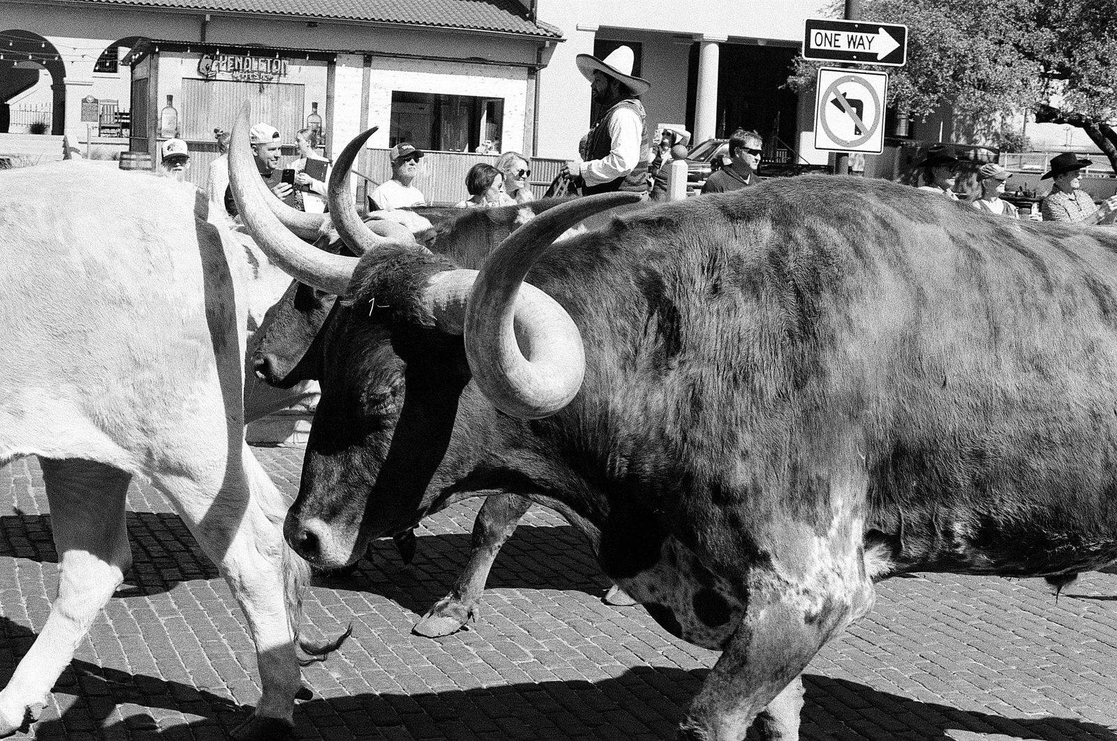 Fort Worth, Texas - Winter 2025