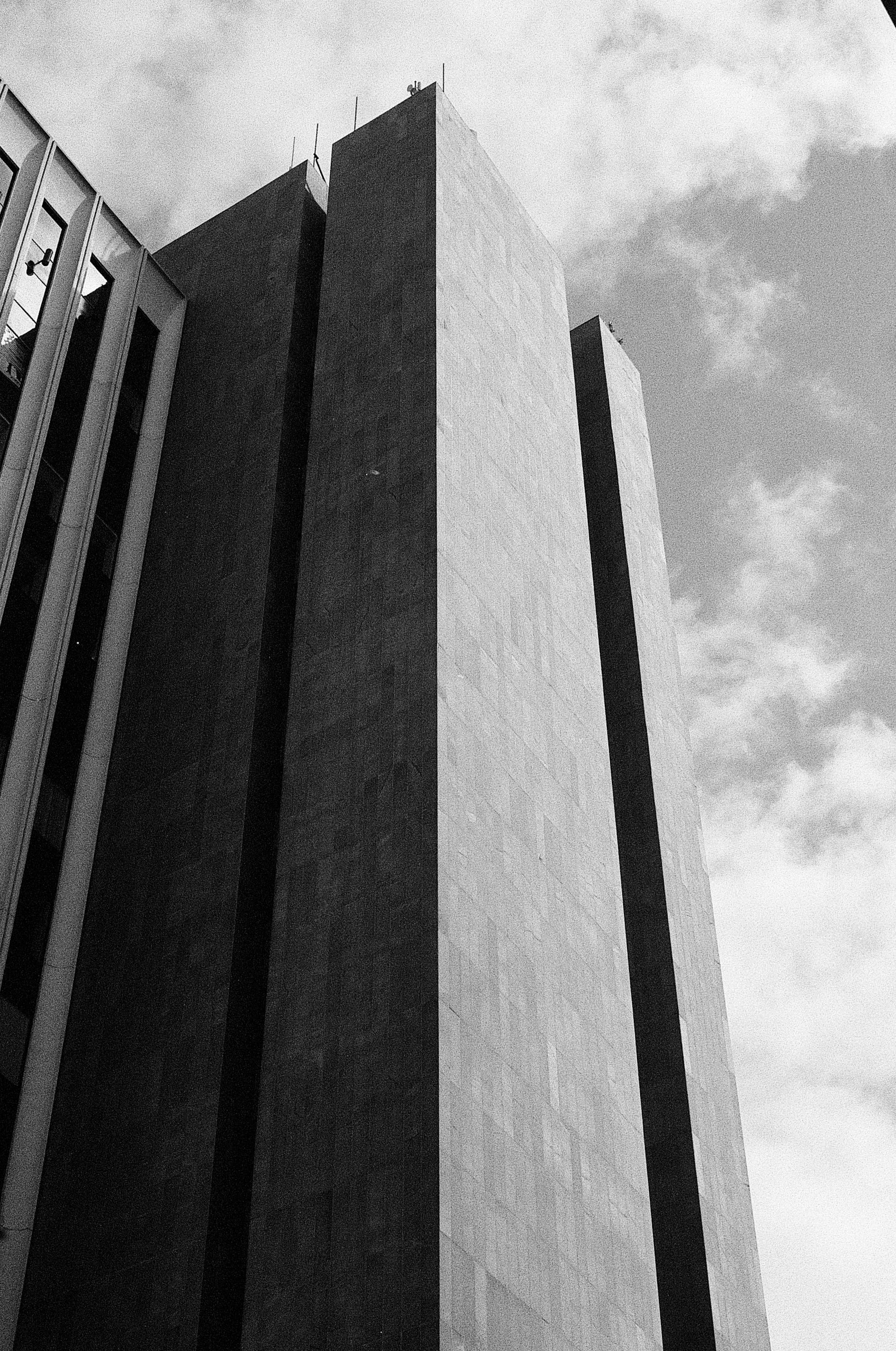 Vertical photo 4