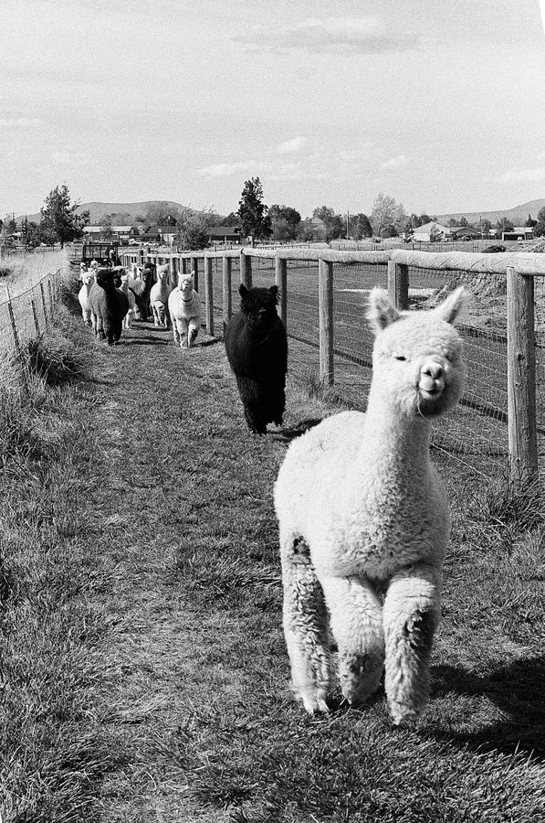 Bend, Oregon - Spring 2026