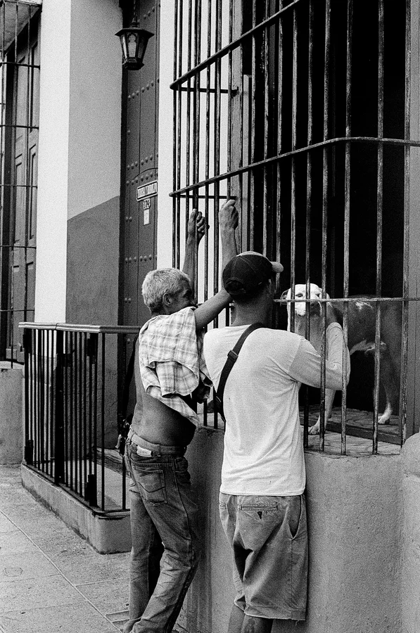 Cuba - Summer 2026
