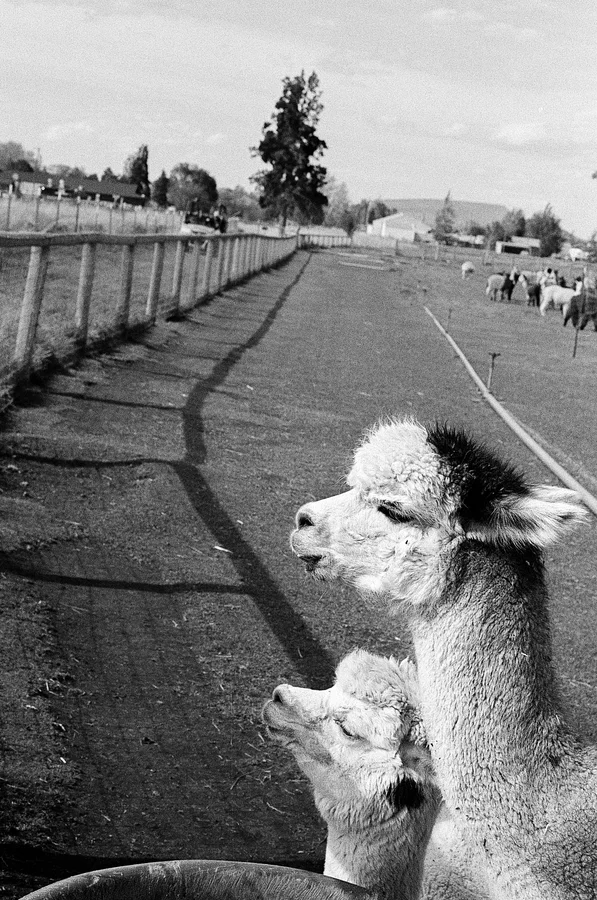 Bend, Oregon - Spring 2026