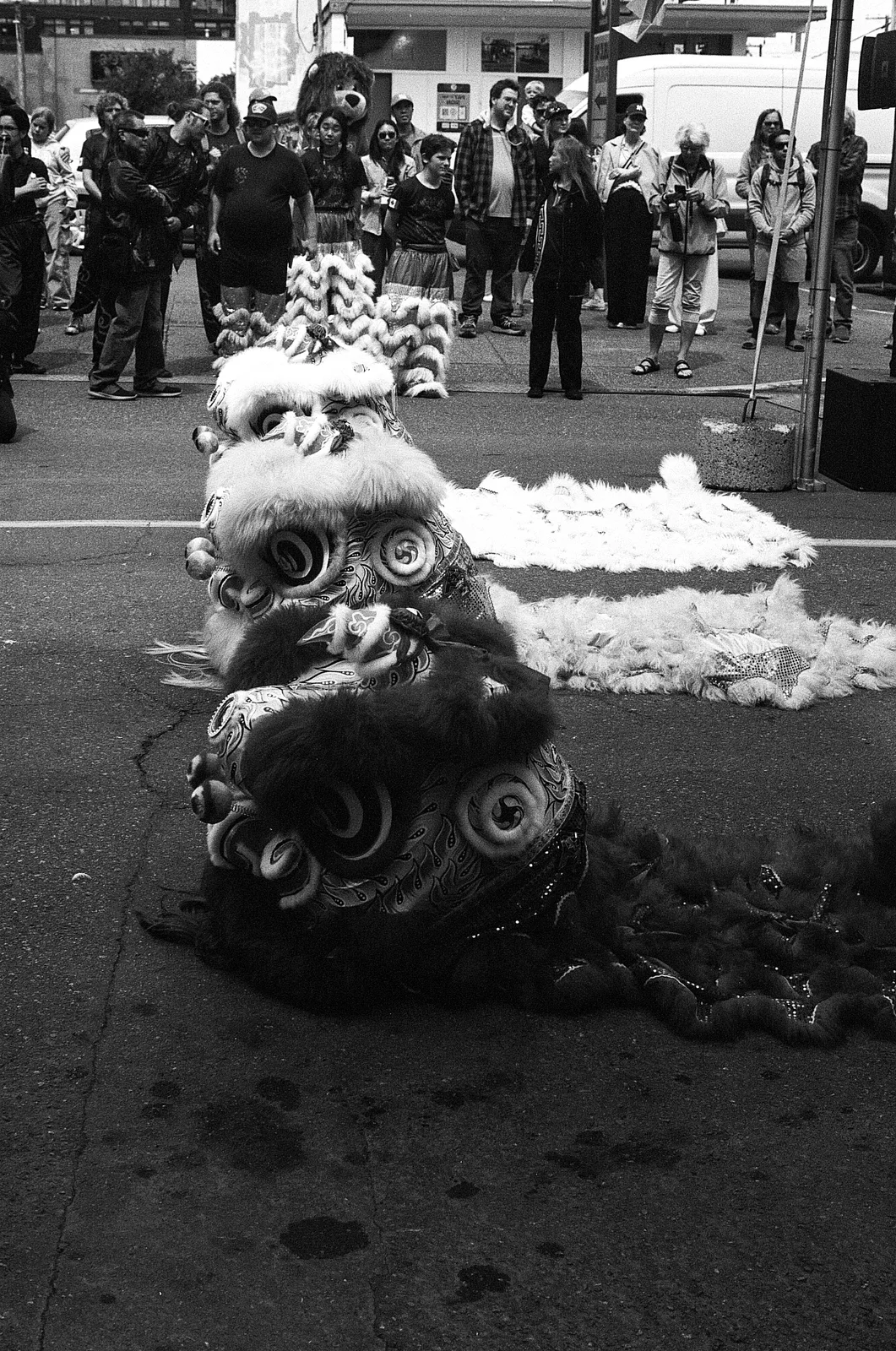 Victoria, BC - Spring 2025