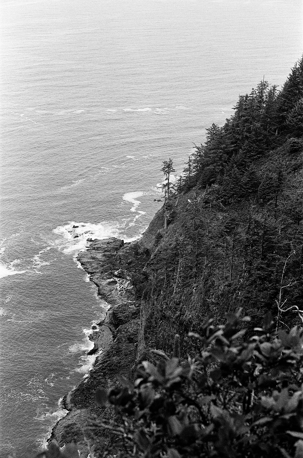 Oregon Coast - Summer 2025