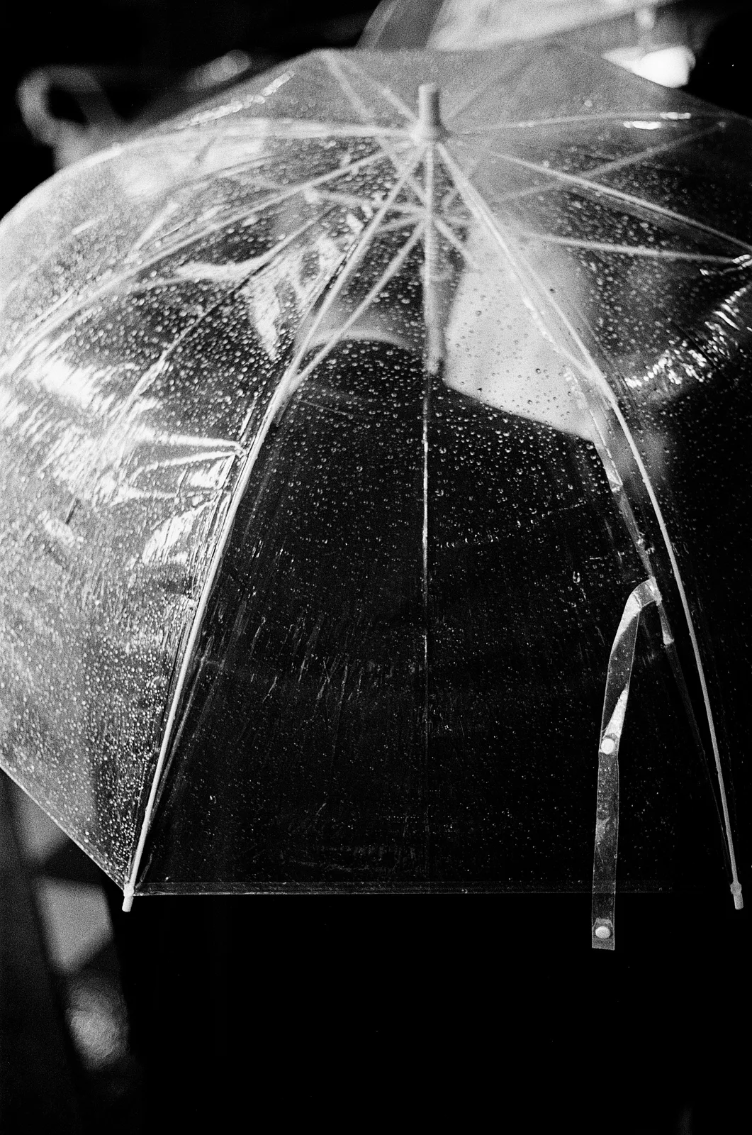 Tokyo, Japan - Autumn 2025